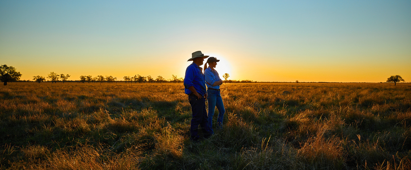 澳洲牛羊肉產業的未來藍圖:打造永續、美味、值得信賴的全球標竿
